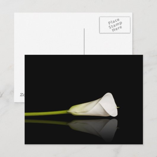 Calla lily briefkaart (Voorkant / Achterkant)