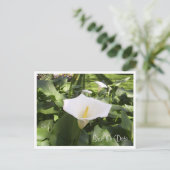 Calla-Lily-Briefkaart Aankondigingskaart (Staand voorkant)