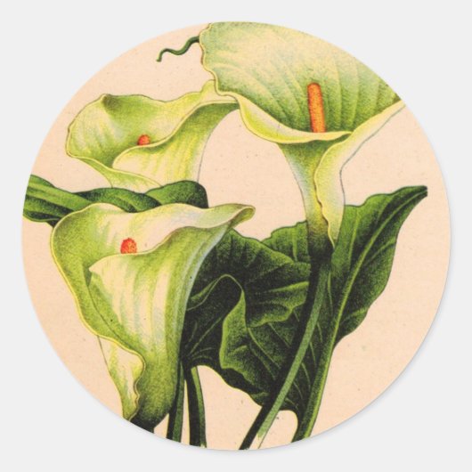 calla lily calla lilies ronde sticker (Voorkant)