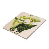 calla lily calla lilies tegeltje (Zijkant)
