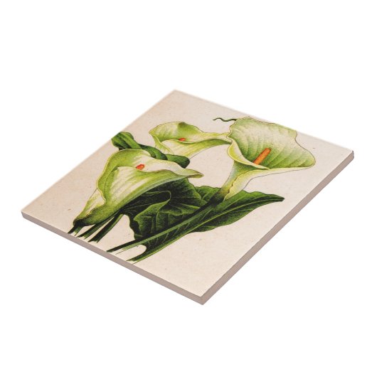 calla lily calla lilies tegeltje (Zijkant)