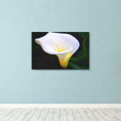 Calla Lily Canvas Afdruk (Insitu (Houten vloer))