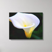 Calla Lily Canvas Afdruk (Voorkant)