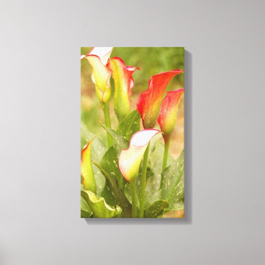 Calla Lily Canvas Afdruk (Voorkant)