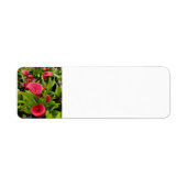 Calla Lily Etiket (Voorkant)