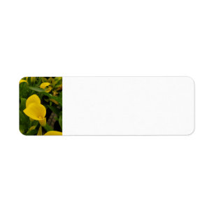 Calla lily etiket