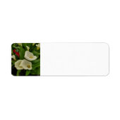 Calla lily etiket (Voorkant)