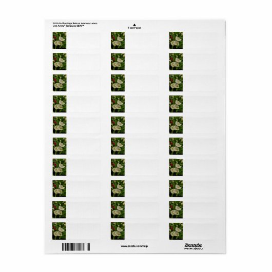 Calla lily etiket (Full Sheet)