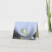 Calla Lily Flower Bedankt Card (Achterkant)