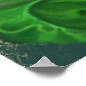 Calla Lily Flower Poster Painting (Hoek)