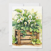  Calla Lily Illustratie Kunst Verjaardagsfeest Kaart (Achterkant)