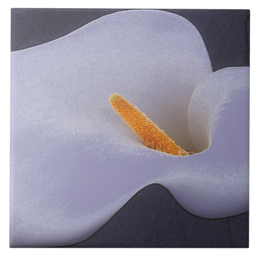 Calla Lily Illustration Verzamelbare Keramische Te Tegeltje (Voorkant)