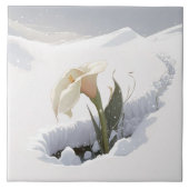Calla Lily in de bergen die door sneeuw breken Tegeltje (Voorkant)