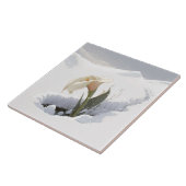 Calla Lily in de bergen die door sneeuw breken Tegeltje (Zijkant)