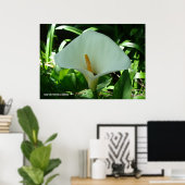 Calla Lily in het groen Poster (Thuiskantoor)