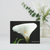 Calla Lily in het zwart Briefkaart (Staand voorkant)