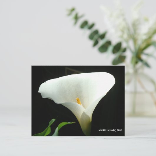 Calla Lily in het zwart Briefkaart (Staand voorkant)