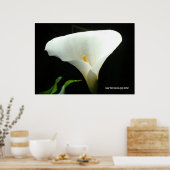 Calla Lily in het zwart Poster (Keuken)
