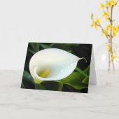 Calla Lily Kaart (Gele Bloem)