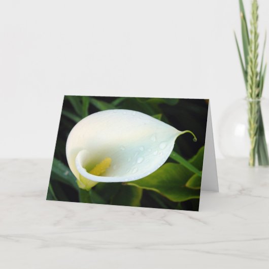 Calla Lily Kaart (Voorkant)