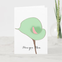 Calla Lily