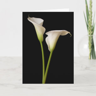 Calla Lily Kaart