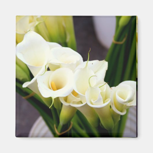 calla lily magnet (Voorkant)
