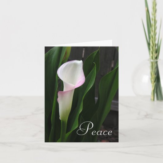 Calla Lily Note kaarten (Voorkant)