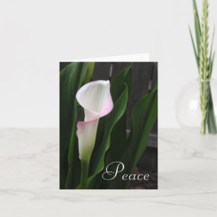 Calla Lily Note-kaarten Kaart