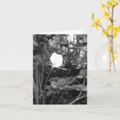 Calla Lily notecards Kaart (Gele Bloem)