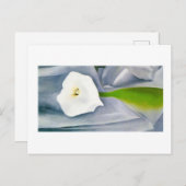 Calla Lily on Grey, Georgia O'Keeffe Briefkaart (Voorkant / Achterkant)