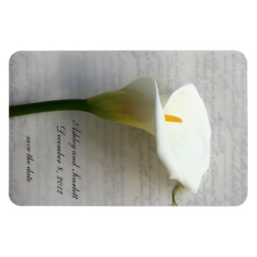 Calla Lily op handschrift flexibele magneet (Horizontaal)
