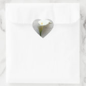 Calla lily op oud handschrift bedankt u hart sticker (Tas)