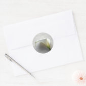 Calla lily op oud handschrift ronde sticker (Envelop)