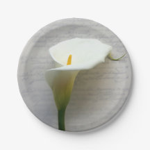 Calla lily op oud manuscript