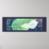 Calla Lily Poster (Voorkant)