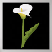 CALLA LILY POSTER (Voorkant)
