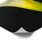CALLA LILY POSTER (Hoek)