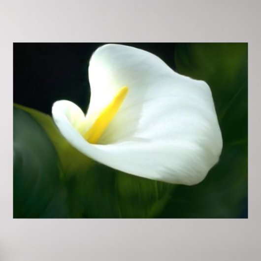 Calla Lily Print (Voorkant)