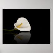 Calla lily print (Voorkant)