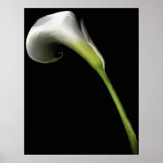 Calla Lily Prints (Voorkant)
