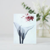 Calla Lily röntgenfoto Briefkaart (Staand voorkant)