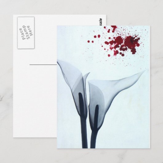Calla Lily röntgenfoto Briefkaart (Voorkant / Achterkant)