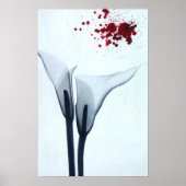 Calla Lily röntgenfoto Poster (Voorkant)