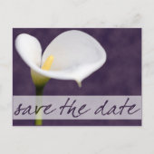 Calla Lily Save the Date Briefkaart (Voorkant)