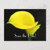 Calla Lily Save the Date Briefkaart (Voorkant)