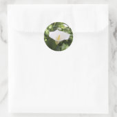 Calla-Lily Sticker (Tas)
