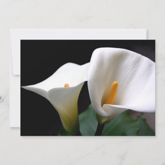 Calla Lily Uitnodiging (Voorkant)