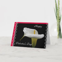 Calla Lily-Valentijnsdag