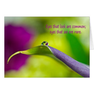 Calla Lily Water Droplet